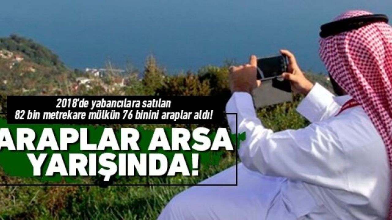 Çin'li bile var...Ordu'dan mülk alan yabancı sayısı artıyor