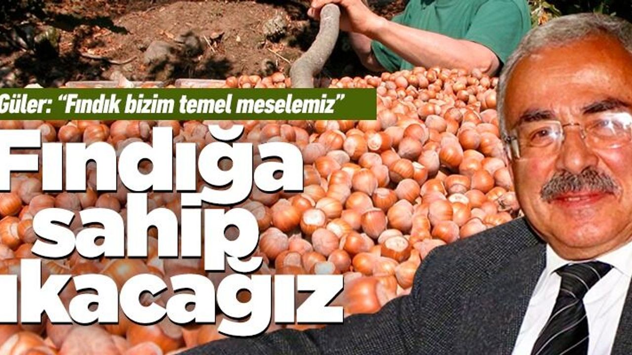 Hilmi Güler: Herkes rahat olsun fındığa sahip çıkacağız