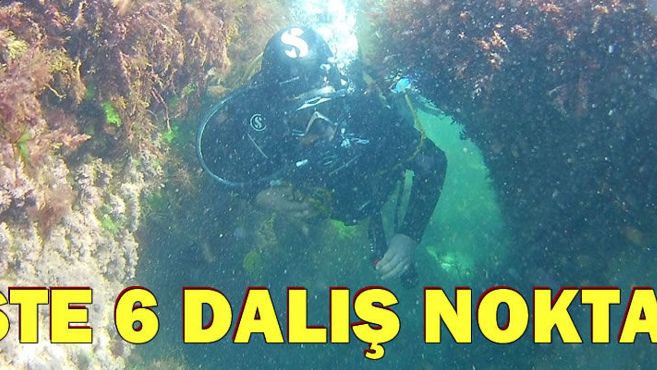 6 dalış yapma noktası açıklandı