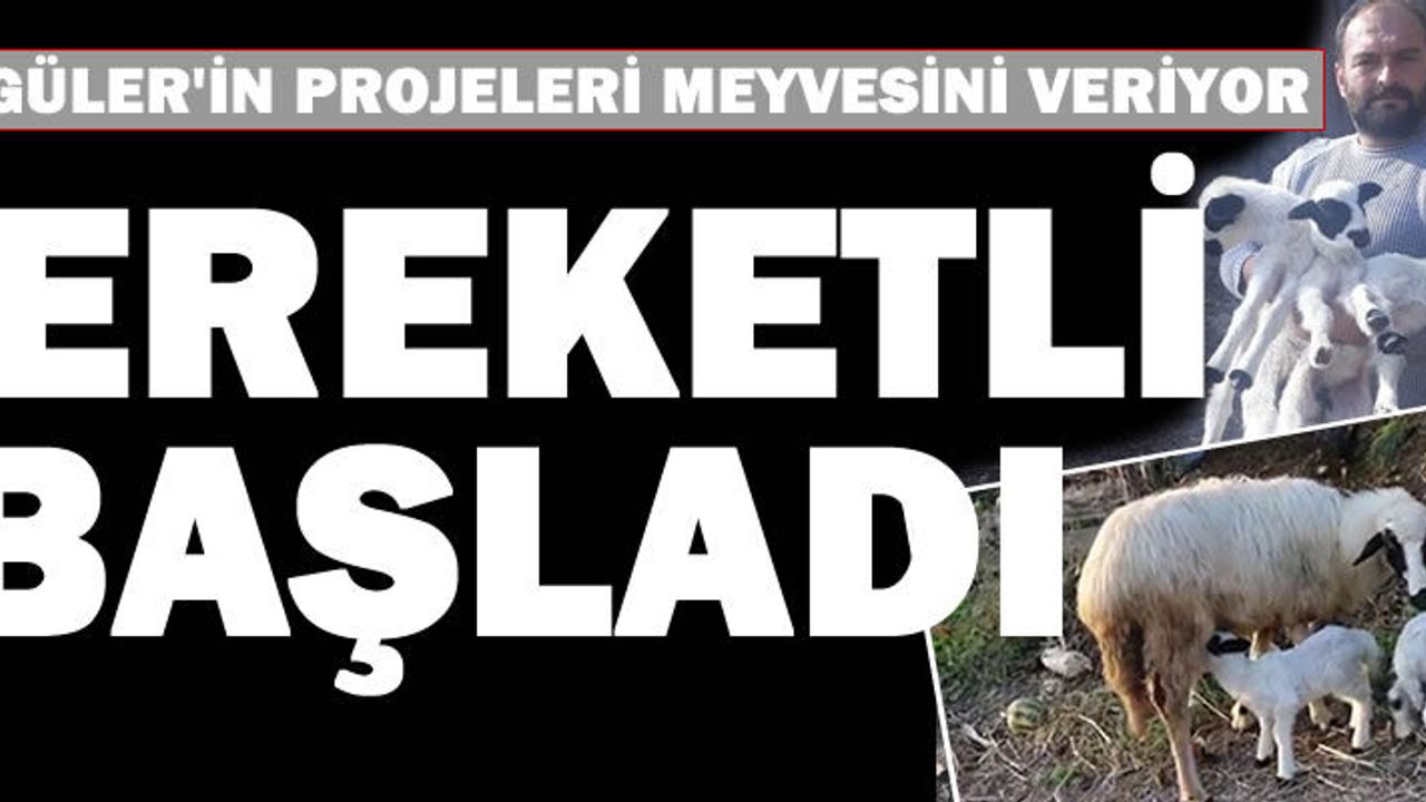 Hilmi Güler'in projesi bereketli başladı