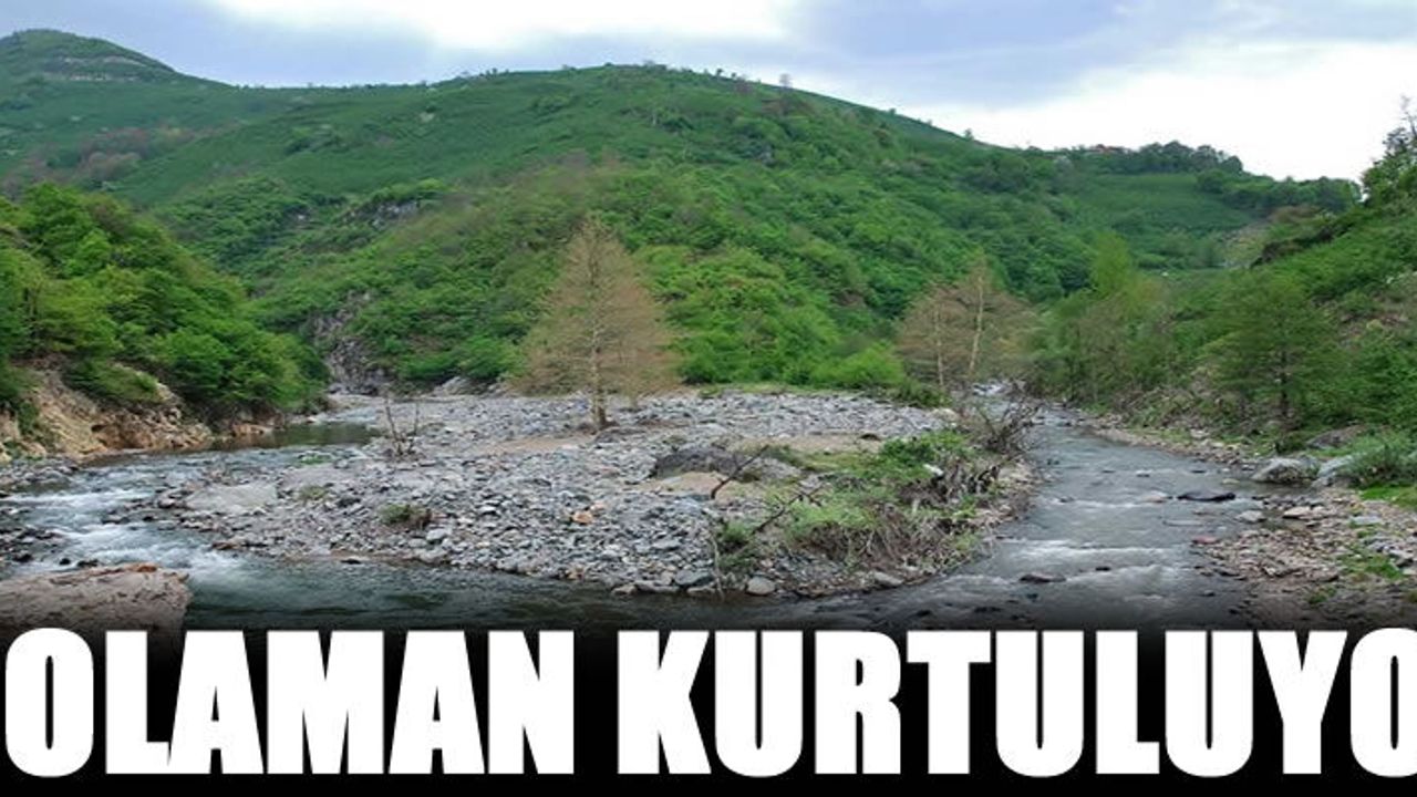 İyi ki Hilmi Güler var. 77 km'lik havza kurtuluyor!