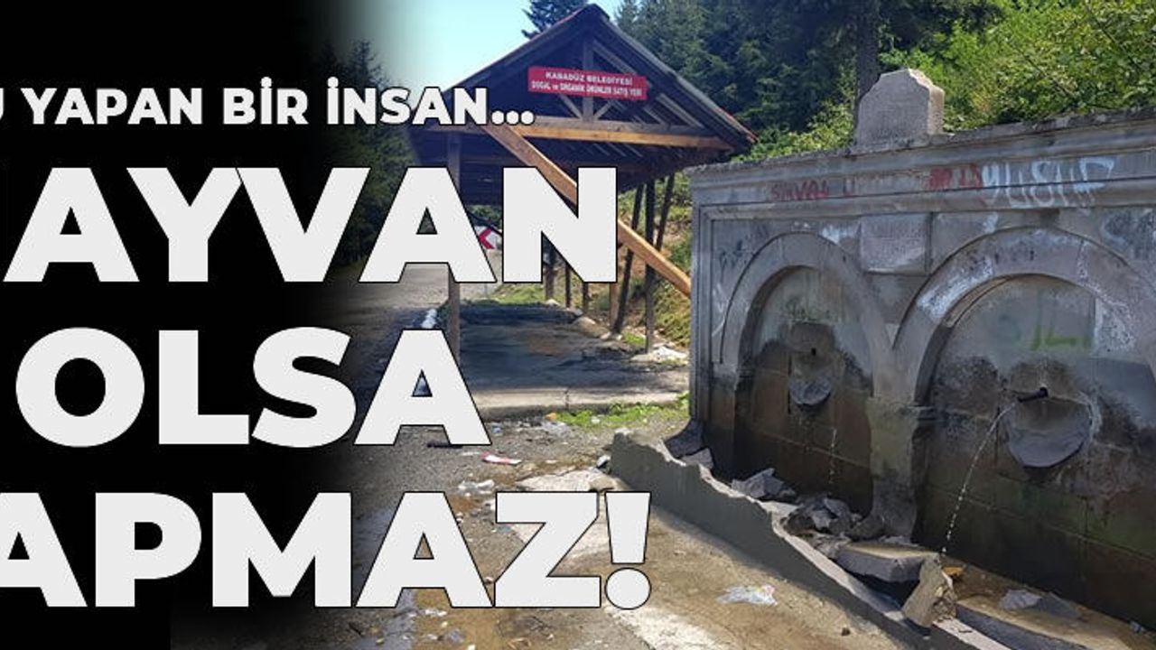 Bunu yapan insan..Hayvan olsa yapmaz!