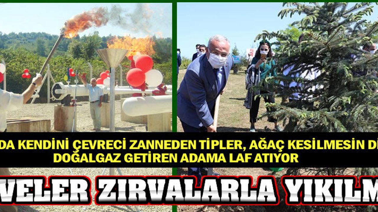 Ağaç kesmeyi en iyi bilen ve aynaya bakmaktan aciz tipler, ağaç kesilmemesi için Ordu’ya doğalgaz getiren adamı ağaç kesmekle suçluyor!