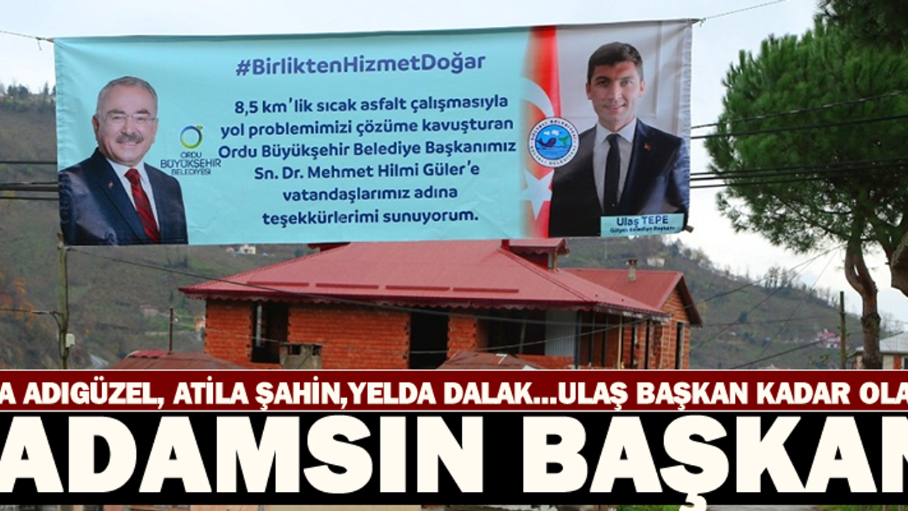 CHP'nin içindeki tek 'adam': Ulaş Tepe