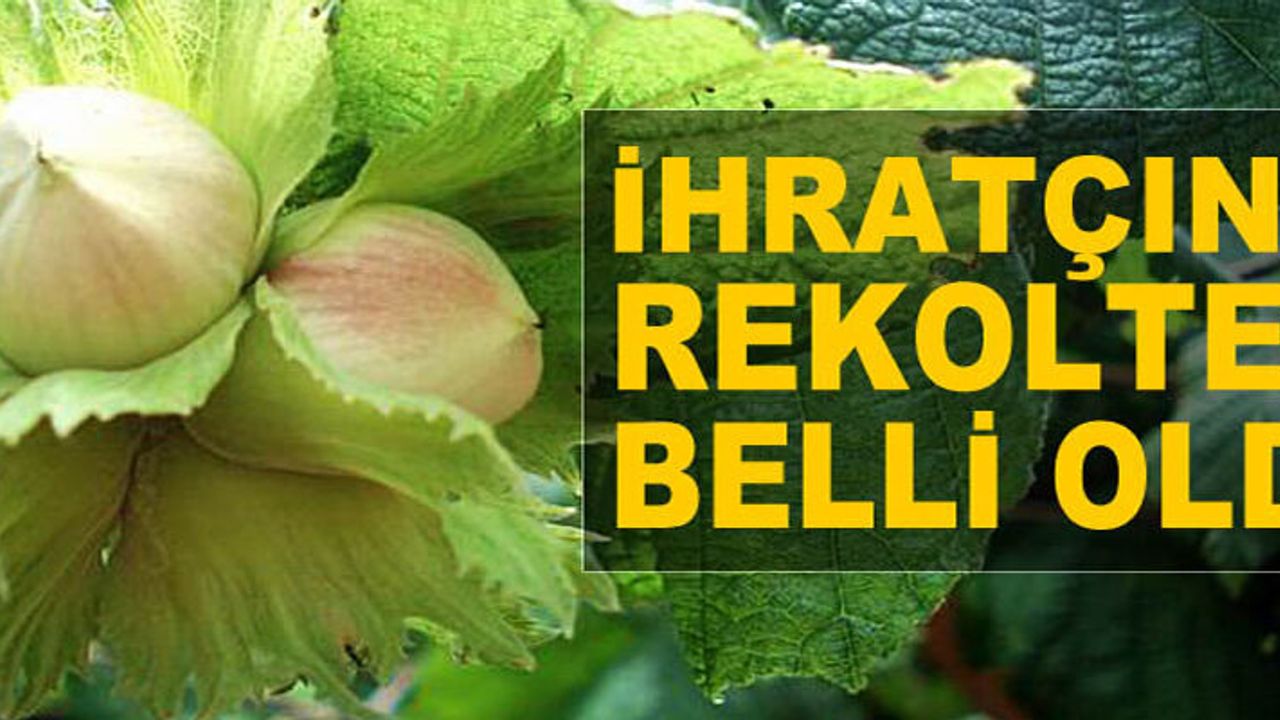 FLAŞ...FLAŞ... KFMİB, fındık rekolte tahminini açıkladı