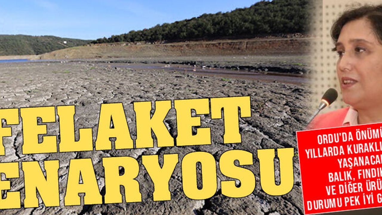 Ordu'da kuraklık olacak, balık, fındık, bal ürün deseni değişecek