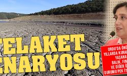 Ordu'da kuraklık olacak, balık, fındık, bal ürün deseni değişecek