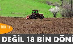 Boru  değil 18 bin dönüm!