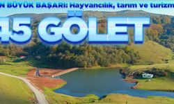 OSKİ'den alternatif su kaynakları: 45 gölet inşa edildi