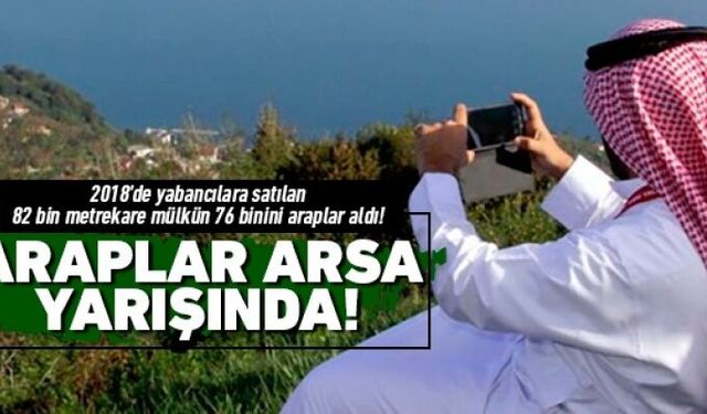 Çin'li bile var...Ordu'dan mülk alan yabancı sayısı artıyor