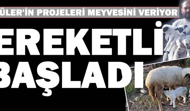 Hilmi Güler'in projesi bereketli başladı
