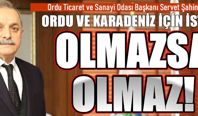 Servet Şahin Ordu ve Karadeniz için bakın ne istedi