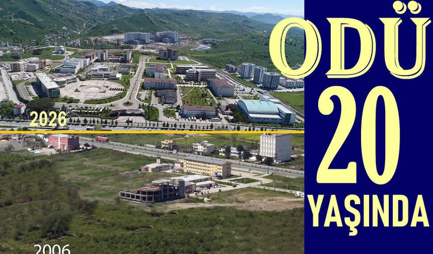 Bir Hilmi Güler eseri: Ordu Üniversitesi (ODÜ)
